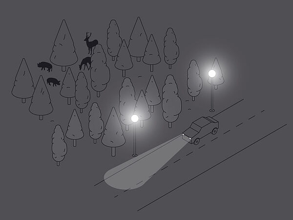 © Illustration: Vandasye 2017