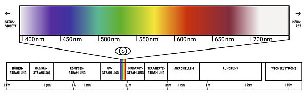 © Illustration: Vandasye 2017