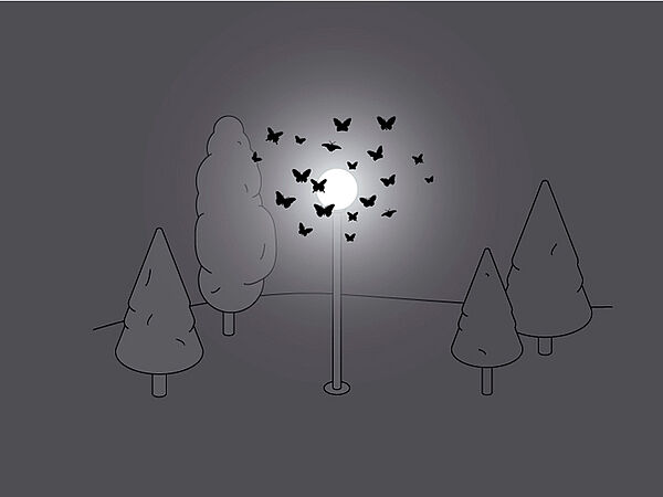 © Illustration: Vandasye 2017