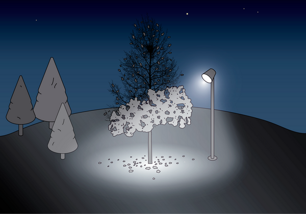 © Illustration: Vandasye 2026