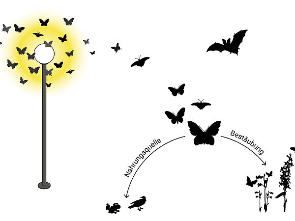 © Illustration: Vandasye 2017