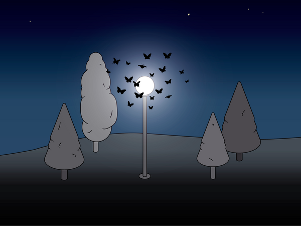 © Illustration: Vandasye 2026