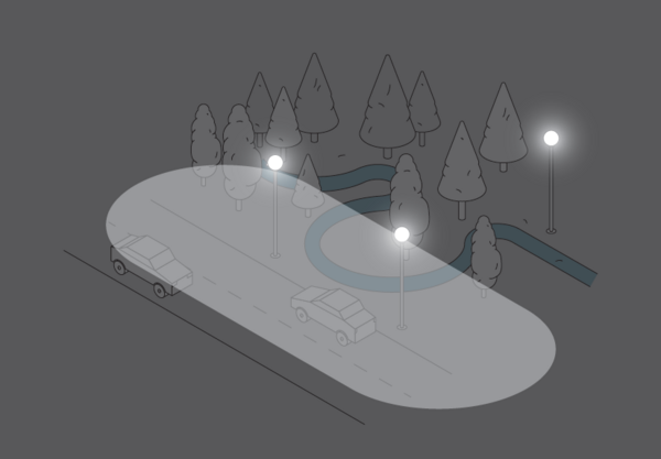 ILLUMINATION OF THE ENVIRONMENT - disturbs animals, plants and ecosystems