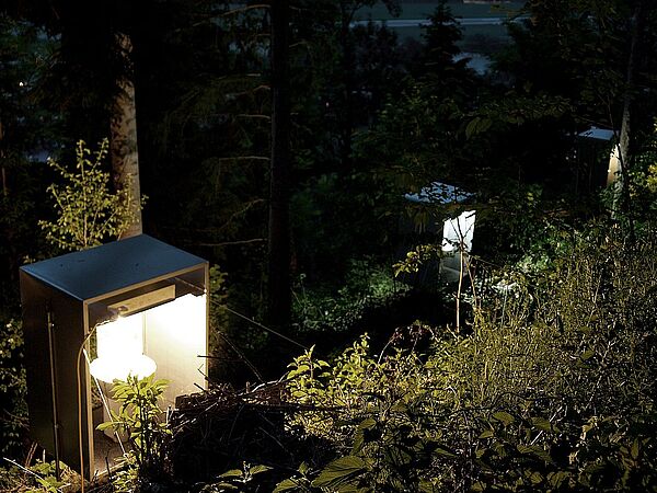 © Tiroler Landesmuseen