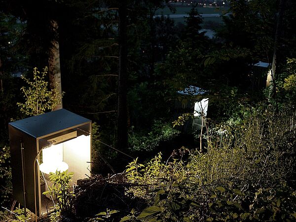 © Tiroler Landesmuseen